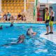 Спектакль в дельфинарии в 11:00  и 15:00
